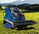 RIPPA RS03 MINI SKID STEER GAS
